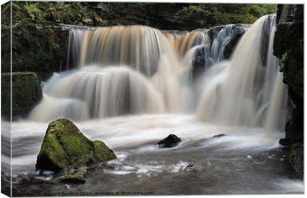 Nelly Ayre Foss in Spate Canvas Print by Richard Burdon