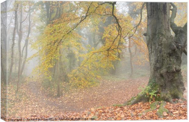 Autumn Mists Canvas Print by Richard Burdon
