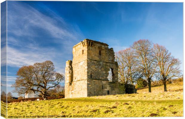 Ayton Castle Canvas Print by Richard Burdon