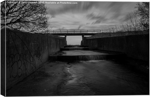  Wier Canvas Print by Tony Clement