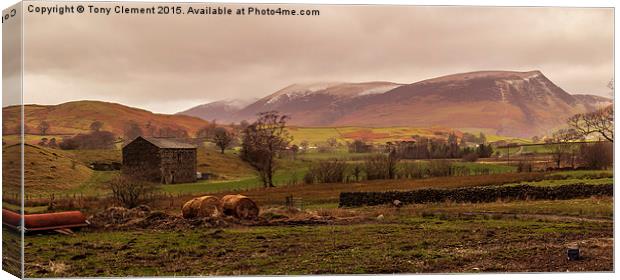  Lake District Farm Land Canvas Print by Tony Clement