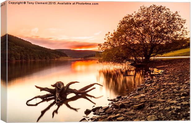  Ladybower Driftwood Canvas Print by Tony Clement
