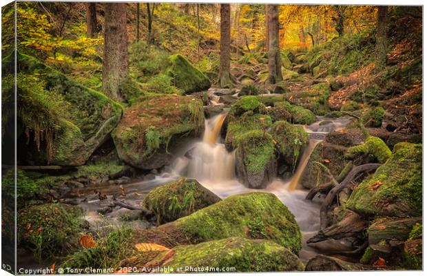 Wyming Brook Canvas Print by Tony Clement