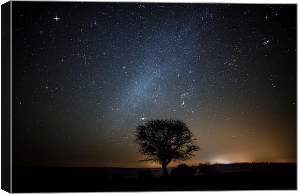 Stars over the New Forest Canvas Print by Chris Nesbit