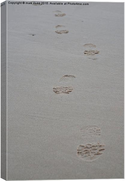  The footprints Canvas Print by mark dodd