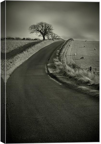 Open Road Canvas Print by Reg Atkinson