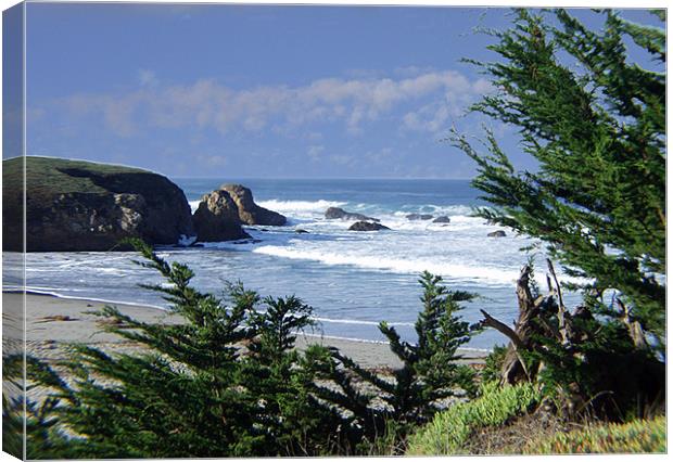 Cove at Fort Brag CA Canvas Print by Nick Minoff