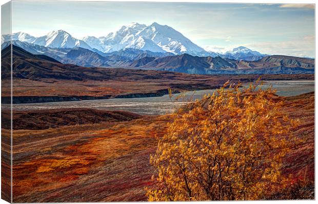 Mount McKinley Canvas Print by Gail Johnson