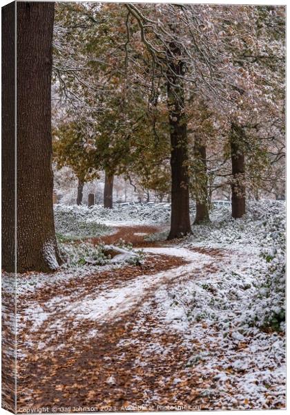 A snowy start to a walk Canvas Print by Gail Johnson