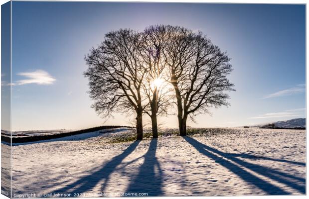 Winter light through some tree with snow on the ground  Canvas Print by Gail Johnson