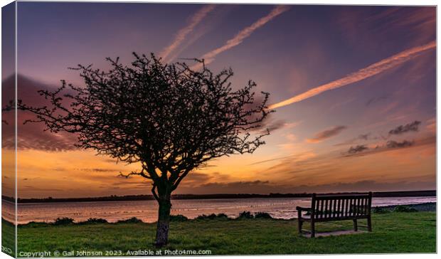 Sunrise at Penrhos Nature Park, Anglesey  Canvas Print by Gail Johnson