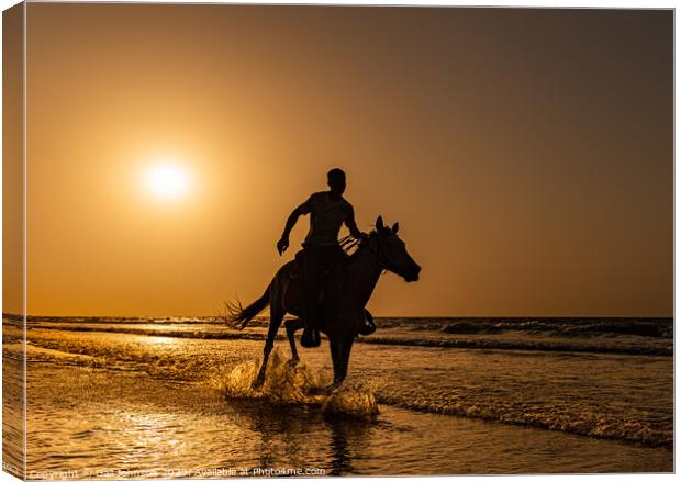 sunset on  Kotu beach The Gambia , Africa Canvas Print by Gail Johnson