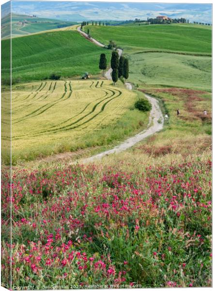 Views travelling around Tuscany, Italy  Canvas Print by Gail Johnson