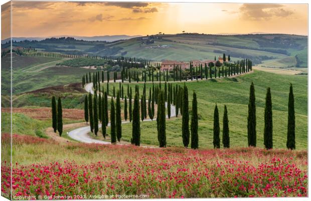 Views travelling around Tuscany, Italy  Canvas Print by Gail Johnson