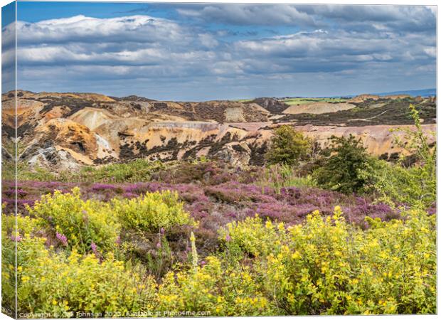 Parys Mountain ancient copper mine Canvas Print by Gail Johnson