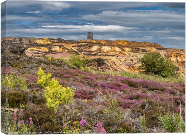 Parys Mountain ancient copper mine  Canvas Print by Gail Johnson