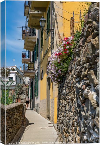 Visiting the fishing villages of Cinque terre, Italy, Europe Canvas Print by Gail Johnson