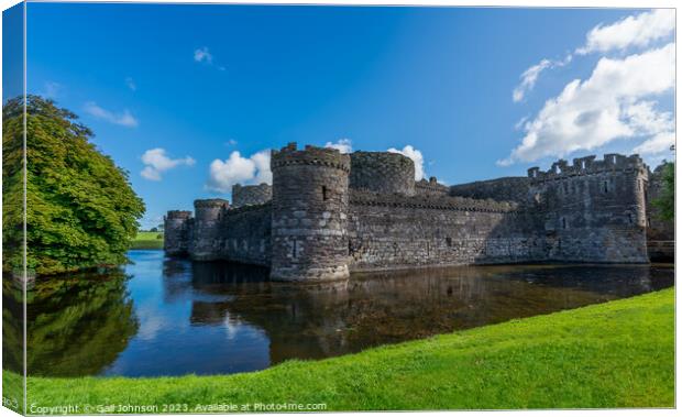 Beaumaris Town centre with its colourful buildings Canvas Print by Gail Johnson