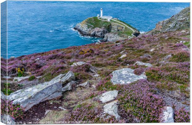Views around South Stack lighthouse with the gorse and heather o Canvas Print by Gail Johnson