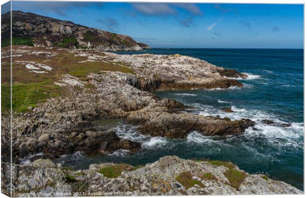 Views around Holyhead Breakwater park with the heather and gorse Canvas Print by Gail Johnson
