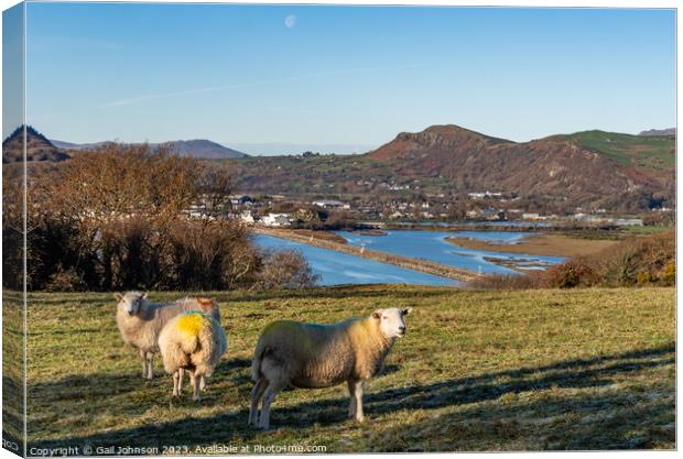 Views around Porthmadog countryside north Wales uk Canvas Print by Gail Johnson