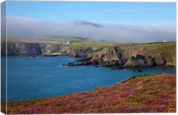 Fog bank Canvas Print by Gail Johnson