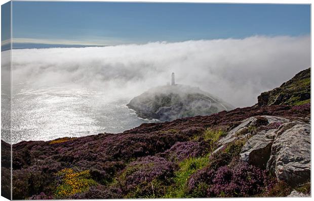 Fog bank Canvas Print by Gail Johnson