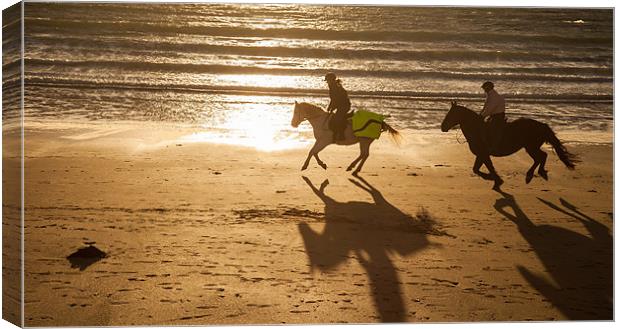 Horses on the beach Canvas Print by Gail Johnson