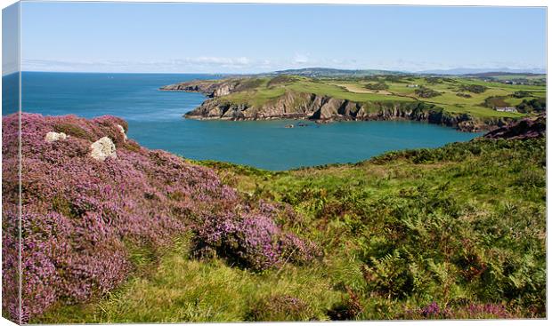 Porth Wen Canvas Print by Gail Johnson