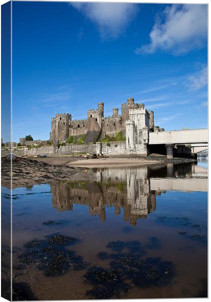 Conwy Castle Canvas Print by Gail Johnson