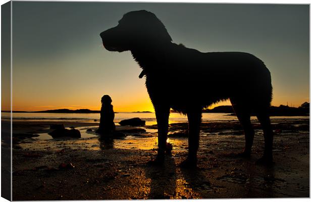 Dogs on the beach Canvas Print by Gail Johnson
