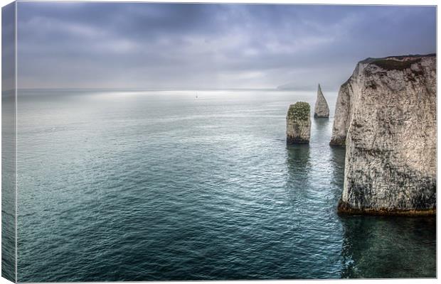 Old Harry Rocks Canvas Print by Gail Johnson