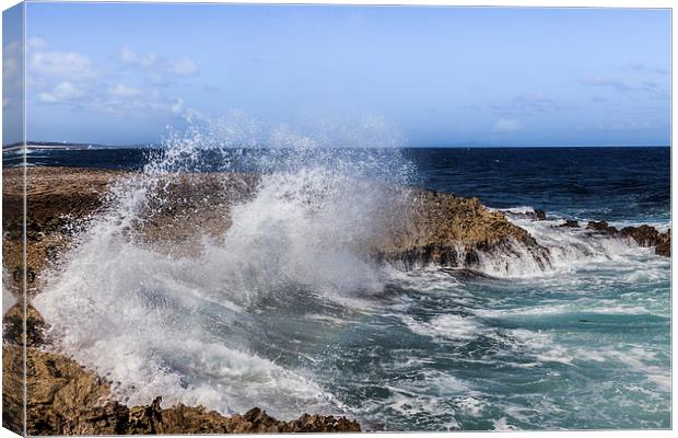 The North Coast of Curacao Canvas Print by Gail Johnson