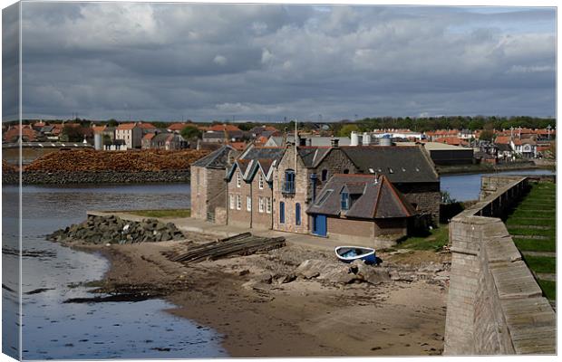 Berwick Ramparts Canvas Print by Gail Johnson