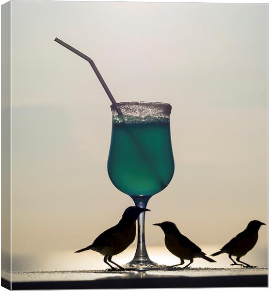 Blue Curacao Drink and birds Canvas Print by Gail Johnson