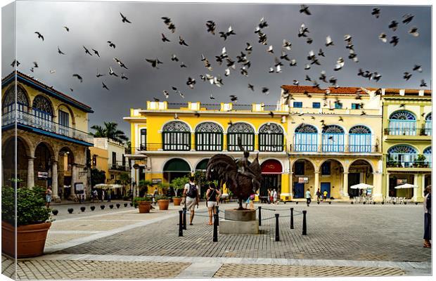 Havana Square Canvas Print by Gail Johnson