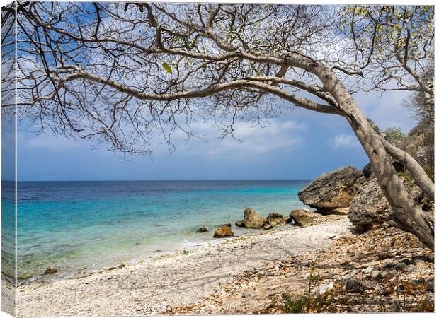 Curacao beach Canvas Print by Gail Johnson