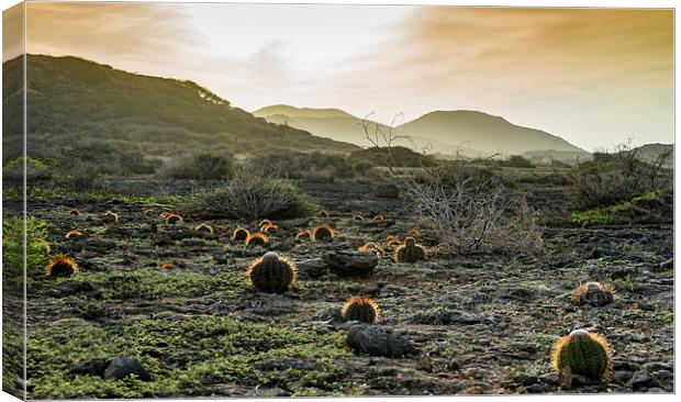 Shete Boka National park Canvas Print by Gail Johnson