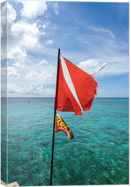 Kura Hulunda dive flag Canvas Print by Gail Johnson