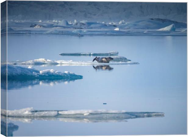 Icelandic Views Jökulsarlon glacier lagoon Canvas Print by Gail Johnson