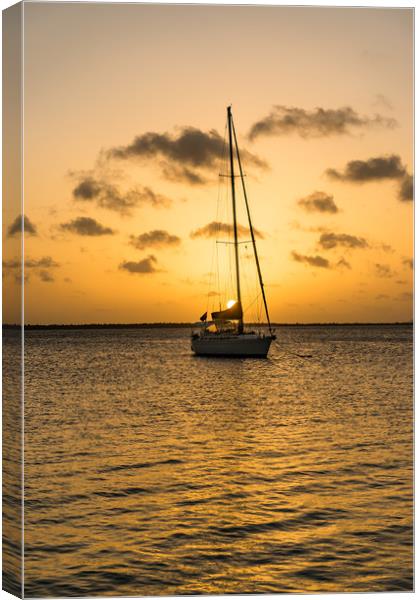 Bonaire - Kralendijk Canvas Print by Gail Johnson