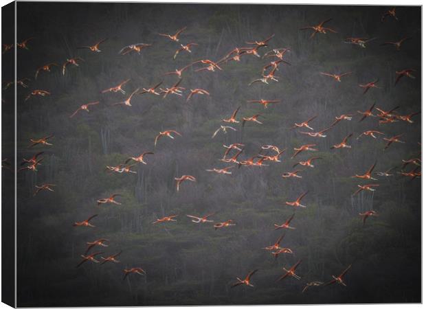 Flamingos at the salt pans Canvas Print by Gail Johnson