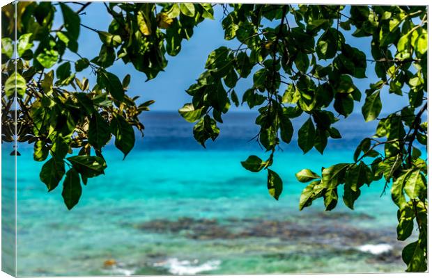 San Juan Beach and old House   Curacao views Canvas Print by Gail Johnson