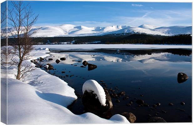 Winter Views at Aviemore Canvas Print by Gail Johnson
