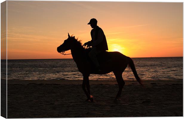 Horserider at sunset Canvas Print by Gail Johnson