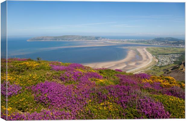 Views from Conwy Mountain Canvas Print by Gail Johnson