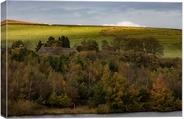 Scenes of Yorkshire - Shoreline Canvas Print by Glen Allen