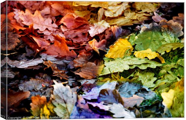 A Miscellany of Autumnal Leaves  Canvas Print by Glen Allen