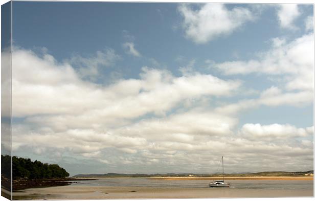 Ards Shoreline, Donegal Canvas Print by Stephen Maxwell