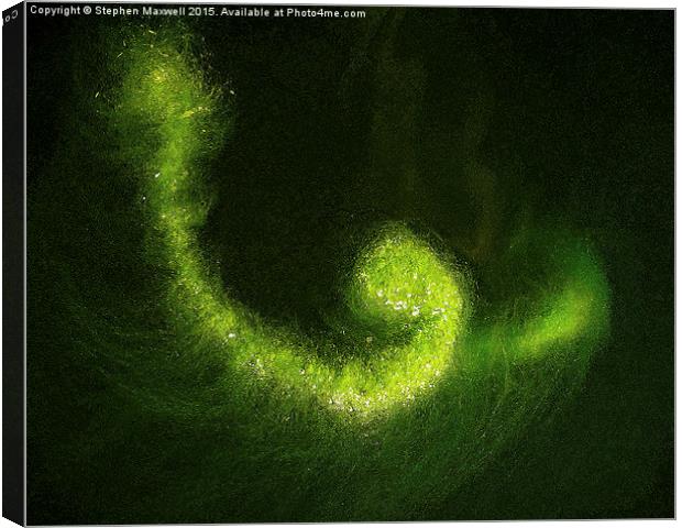 Green Pond Algae Canvas Print by Stephen Maxwell